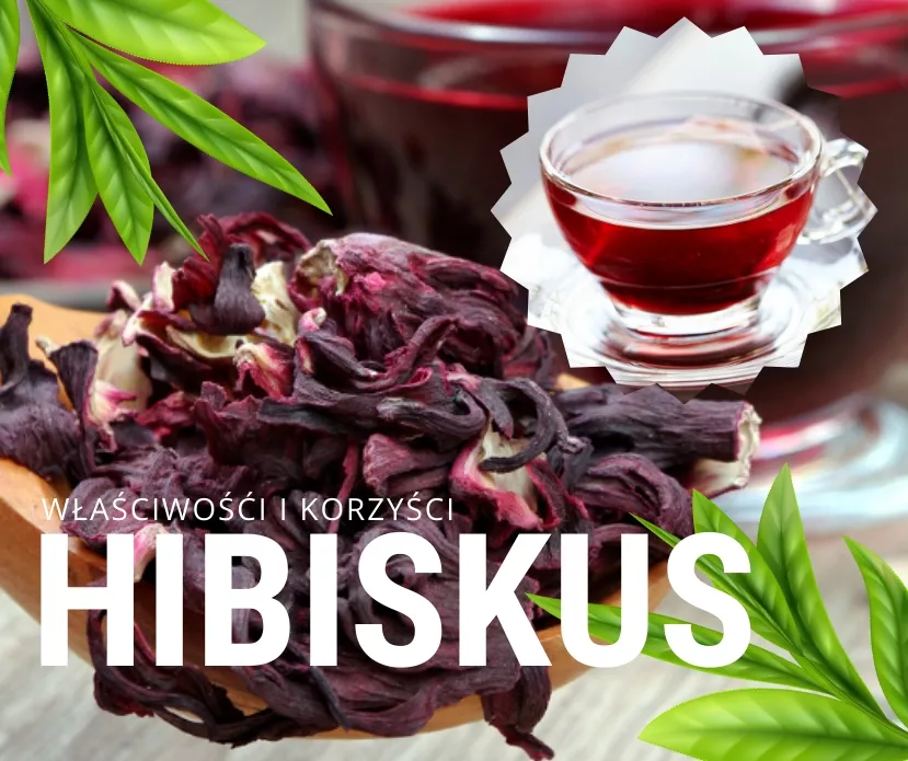 Hibiskus herbata - właściwości i korzyści zdrowotne